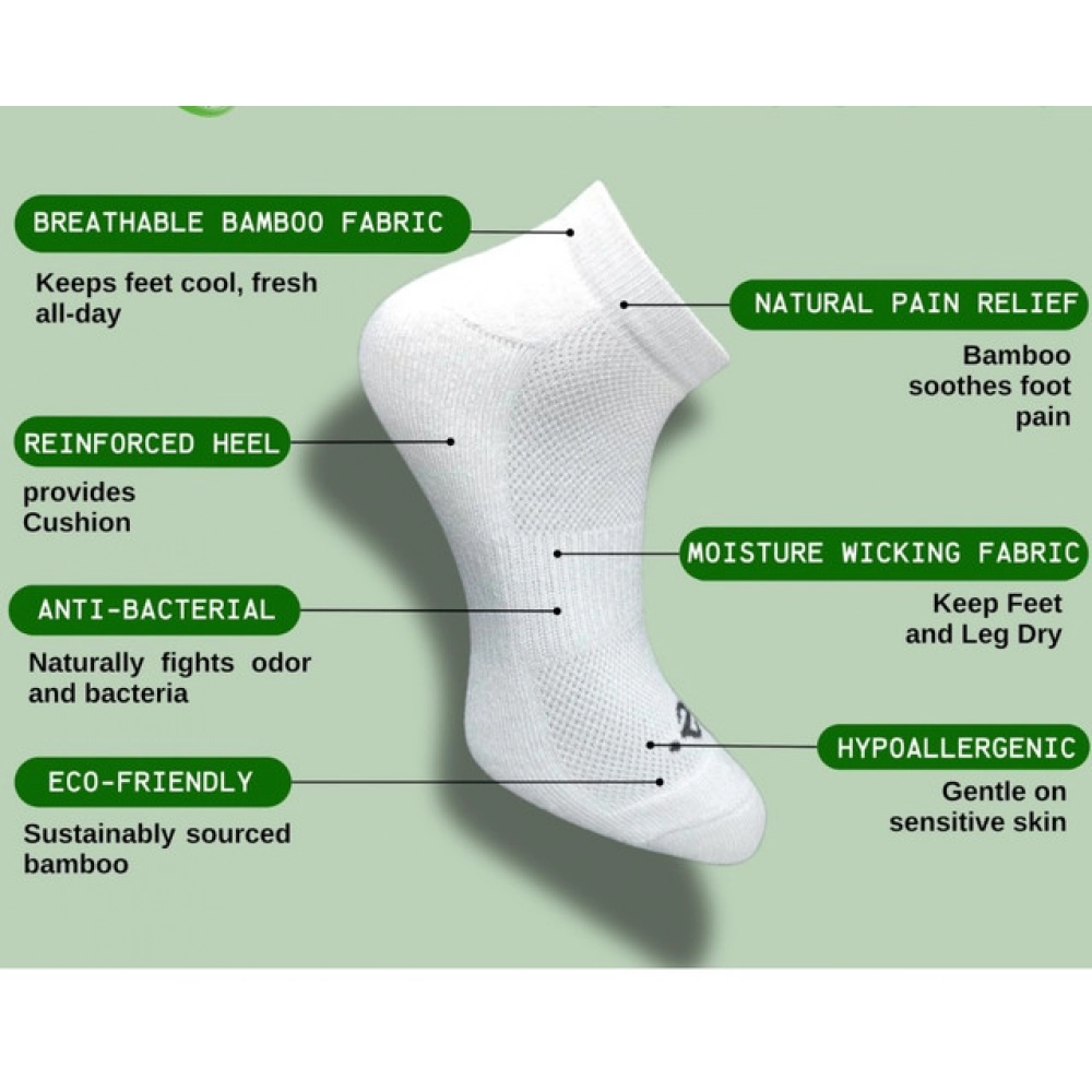 pid 62981 generic 3 pair set unisex casual cotton striped low cut socks multicolor 2 1000x1000 1.webp pid 62981 generic 3 pair set unisex casual cotton striped low cut socks multicolor 2 1000x1000 1.webp