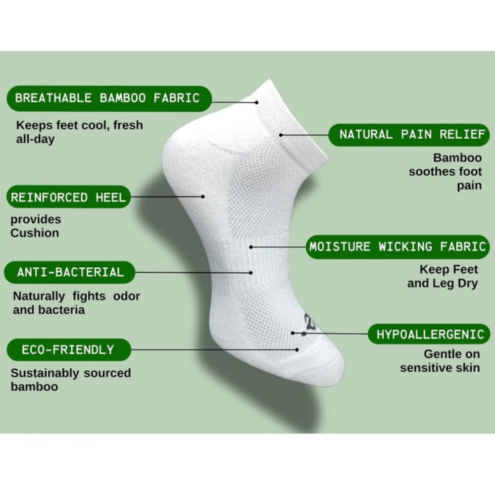 pid 63022 generic 3 pair set unisex casual cotton striped low cut socks multicolor 2 1000x1000 1.webp pid 63022 generic 3 pair set unisex casual cotton striped low cut socks multicolor 2 1000x1000 1.webp