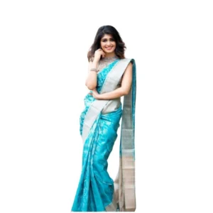 pid 63568 women s soft lichi silk printed saree with unstitched blouse 5 5 mtr sky blue 1 1000x1000 1.webp