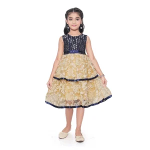 pid 63803 generic girl s fancy net printed sleeve less round neck dress single 1 1000x1000 1.webp
