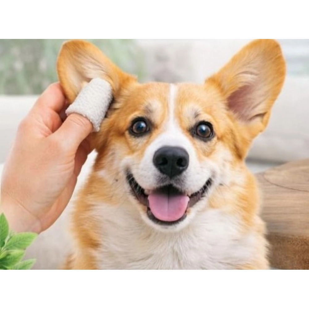 pid 66831 pet ear cleaning wipes white 4 1000x1000 1.webp pid 66831 pet ear cleaning wipes white 4 1000x1000 1.webp