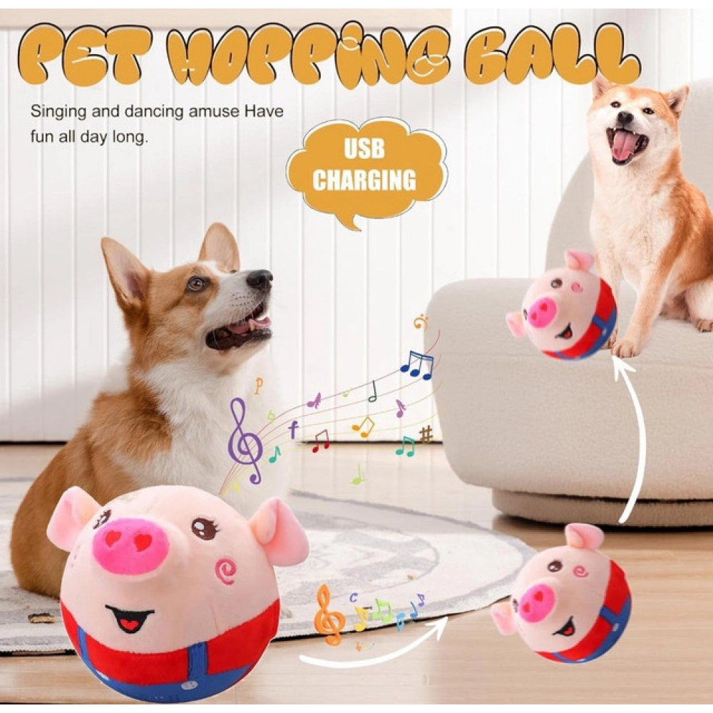 pid 66969 dancing piggy ball multicolor 3 1000x1000 1.webp pid 66969 dancing piggy ball multicolor 3 1000x1000 1.webp