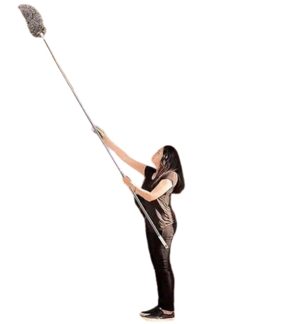 pid 66766 fan duster silver 2.jpg pid 66766 fan duster silver 2.jpg