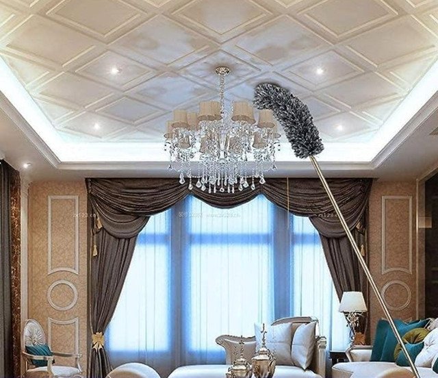 pid 66766 fan duster silver 6.jpg pid 66766 fan duster silver 6.jpg