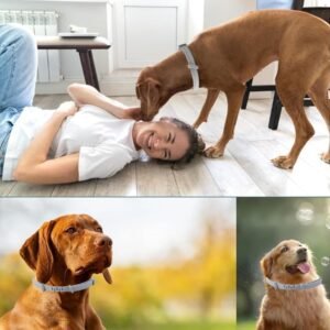 pid 67824 silicone dog flea collar grey 1.jpg